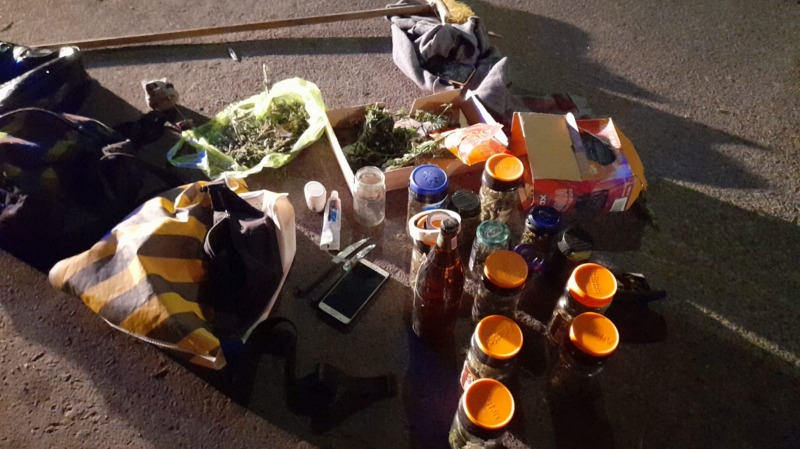 Llevaban 13 frascos con marihuana y los aprehendieron